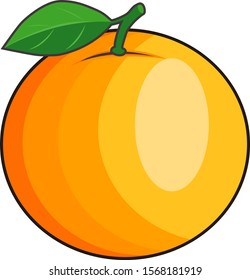 tasty orange fruit vector illustration