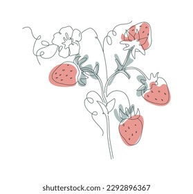 Tasty organic strawberries line art with red spots. Vector illustration