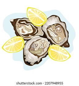 Tasty oysters with lemon on white background