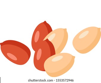Tasty peanut isolated on white background, flat style vector illustration.