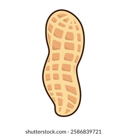 Tasty peanut isolated on white background, flat style vector illustration.