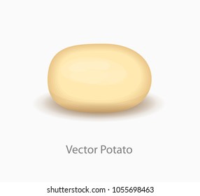 Tasty  Peeled Vector Potato.