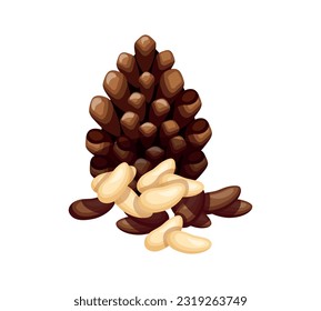 Tasty pine seeds isolated on white background. Vector illustration of a delicious handful of peeled and hulled pine nuts in cartoon style. Pine seed icon. Healthy, organic snacks.