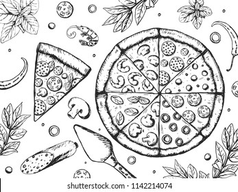 Tasty pizza ingredients set . Food background. Delicious restaurant menu. Vector illustration EPS10.