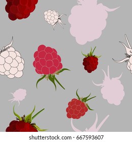 Tasty raspberries seamless pattern. Hand drawn berry sketches and silhouettes background.