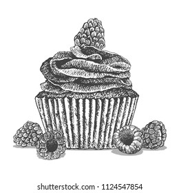 Tasty raspberry cupcake. Isolated sweet pastry decorated with fruits. Vintage hand drawn black and white illustration. Sweet and dessert collection.