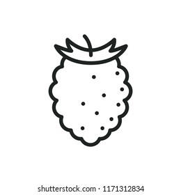 tasty raspberry vector icon