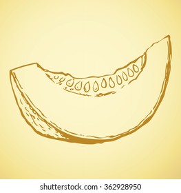 Tasty raw fresh sappy musk galia casaba fruitful isolated on white backdrop. Freehand linear outline ink hand drawn picture sketchy in art doodle style pen on paper. View closeup with space for text