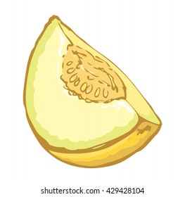 Tasty raw fresh sappy musk galia casaba light color isolated on white backdrop. Freehand  colorful hand drawn picture sketchy in doodle style. View closeup with space for text