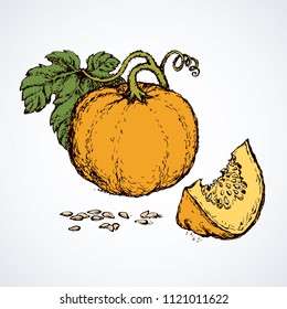 Tasty raw ripe fresh sappy musk galia cantalupe fruitful plant on white backdrop. Vibrant orange color hand drawn picture logo sign sketchy in art doodle cartoon style. View closeup and space for text