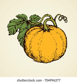 Tasty raw ripe fresh sappy melon fruitage isolated on white backdrop. Freehand linear black ink hand drawn picture sign sketchy in art scribble style pen on paper. View closeup and space for text
