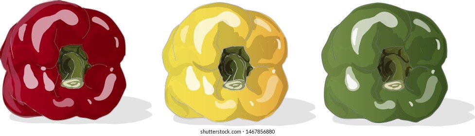 Tasty ripe bell peppers on white background. Vector illustration, separate layers per item.