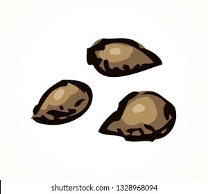 Tasty ripe dry small herbal til pip nut on white background. Outline black ink hand drawn farm raw quince corn plant oil meal logo sign sketch in retro art cartoon graphic style on paper. Closeup view