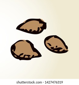 Tasty ripe dry small herbal til pip nut on white background. Outline black ink hand drawn farm raw quince corn plant oil meal logo sign sketch in retro art cartoon graphic style on paper. Closeup view