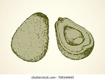 Tasty ripe fresh sappy avacado fruitful isolated on white backdrop. Freehand linear black ink hand drawn picture logo sketchy in art retro scribble style pen on paper. View closeup with space for text
