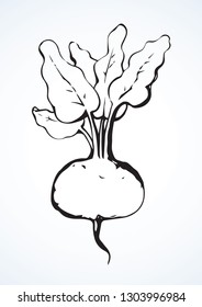 Tasty ripe juicy raw fresh red raphanus isolated on white backdrop. Freehand outline black ink hand drawn logo emblem sketchy in retro art scribble style pen on paper space for text. Closeup view