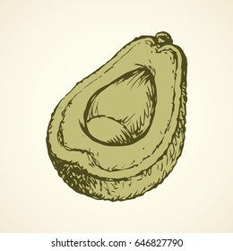Tasty ripe sappy avacado fruitful isolated on white backdrop. Freehand linear black ink hand drawn picture sketchy in art retro scribble style pen on paper. View closeup with space for text