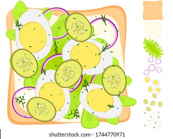 Tasty snack. Toast with sauce, sliced eggs, pickled cucumber, salad leaf, dill. A set of ingredients. Delicious sandwich. Vector stock illustration on a white background. Isolate on white.