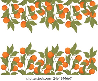 Familia de cítricos de fruta naranja mandarina tropical sabroso con hojas de Ilustración vectorial sobre fondo blanco