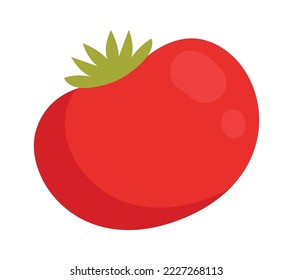 Tasty vegetable flat icon Tomato snack Balanced nutrition