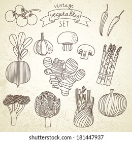 Tasty vegetables in vector set - cherry tomato, chili, garlic, champignon, onion, ginger, fennel, asparagus, beet, broccoli, artichoke. Vintage vegetarian concept collection