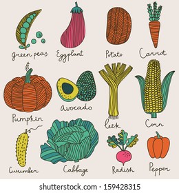 Tasty vegetables in vector set - green peas, eggplant, potato, carrot, pumpkin, avocado, leek, corn, cucumber, cabbage, radish, pepper. Vegetarian concept collection in cartoon style