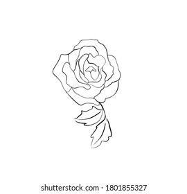 Tatoo Design Stylized Rose Leaves Stock Vector (Royalty Free ...