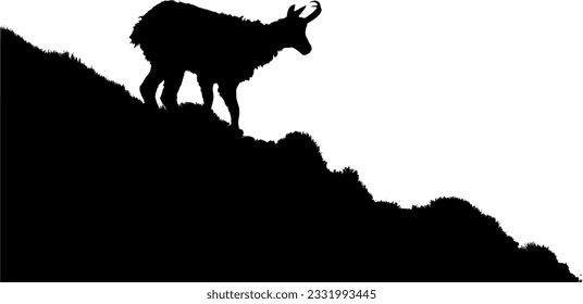 The Tatra Chamois, Rupicapra rupicapra tatrica. Dark silhouette of a chamois an a rocky cliff in a white background with a copy space vector image.