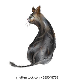Tattered Cat. Small mammal. 
Vector illustration.