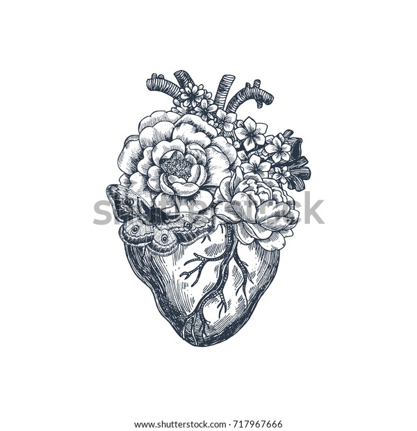 タトゥー解剖学のビンテージイラスト 花の解剖心 ベクターイラスト のベクター画像素材 ロイヤリティフリー
