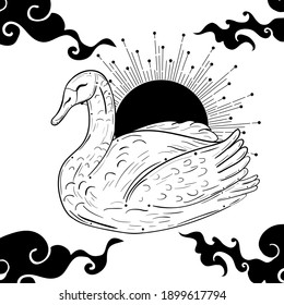 Tattoo art style illustration of a swan. Dark, gothic, witchy vibes.