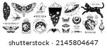 Tattoo art. Vector surreal astrology. Universe space tattoo print. Magic witch astronomy graphic with moon, star, moth, cat, saturn. Sketch boho mystic illustration. Vintage witch esoteric surreal art