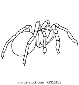 Tattoo of black widow isolated on white background.