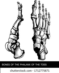  tattoo bones of the phalanx of the toes