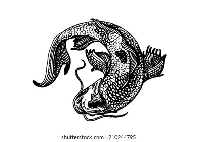 Tattoo or emblem style koi fish curled