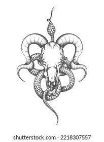 Tattoo of Goat skull and Snake drawn in etching style. Vector illustration isolated on white.
