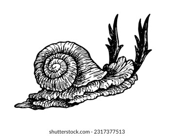 Tattoo horned, snail, hallucinations, insects, mushrooms