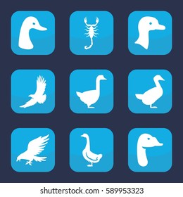 tattoo icon. Set of 9 tattoo filled icons such as goose, eagle