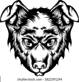The tattoo illustration of a fierce dog with the black and white outline