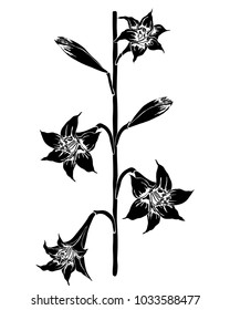 Tattoo with lily isolated on white. Hand drawn silhouette of flowers brush.