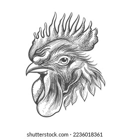 tattoo of Rooster Head drawn in engraving Style isolated on white. Vector illustration.