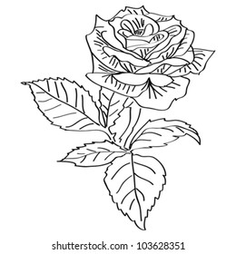 tattoo rose small contour vector