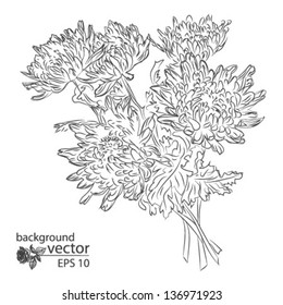tattoo, scetch bouquet asters , isolated on white background vector