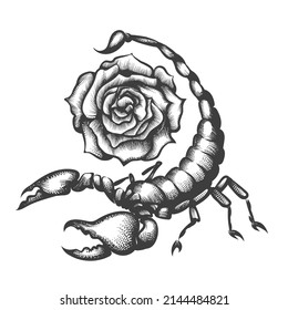 Tattoo of Scorpio and Rose Flower drawn in Engraving Style isolated on white. Vector illustration.