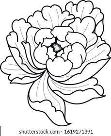 tattoo set old school peony traditional tattoo
