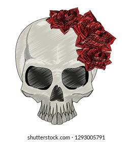 Tattoo skull drawing scribble