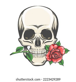 Tattoo of Skull with a Rose in The Teeth isolated on white. Vector illustration.