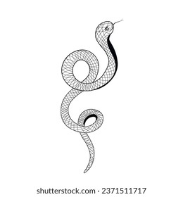 Tattoo snake. Vector stock illustration. Snake silhouette illustration. Black serpent. Isolated on a white background.