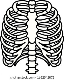 Rib Cage Drawing Hd Stock Images Shutterstock