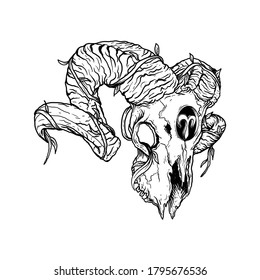 Tattoo And T-shirt Design Black And White Hand Drawn Aries Skull Zodiac Premium Vector